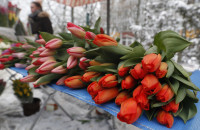 Vilnius Moters Diena Eisena Mitingas
