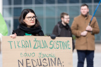 Budraitė Žaliųjų Partija MOlėtų Skyrius Nekrošius