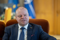 Nėris Paminklas Vilnius Desovietizacija Skvernelis