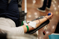 Seimas Įstatymas Garbės Donoras Pensija