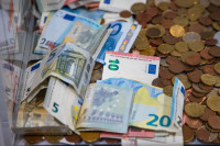 ECOFIN Gynyba