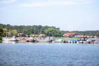 Nida Festivalis Narkotikai
