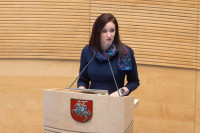 Ruginienė Kandidatūra Seimas Frakcijos