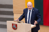 Skvernelis Vyriausybė Mažuma Programa