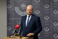 Skvernelis Seniūnas Frakcijas Demokratai