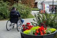 Seimas Įstatymas Negalia Ankstyvoji Pagalba