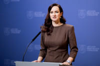 Ruginienė Vyriausybė Fegda KAM Rūdininkų Miestelis Konkursas Auditas VK