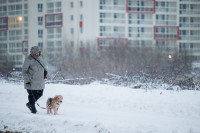 Vilnius Gatvės Grinda