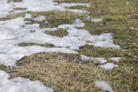 Potvynis NKVC Pasirengimas Planas