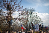 Čekija Babišas Vyriausybė Demonstracija Protestas