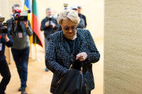 Budbergytė Socialdemokratai Nemuno Aušra VRK Nuosprendis Koalicija