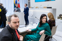 Vyriausybė Ruginienė Taminskas Energetiniai Ištekliai Kuras Kainos