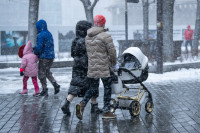 Seimas TTK Įstatymas Teisėjai Mamadieniai