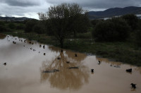 Audra Graikija Auka Žala