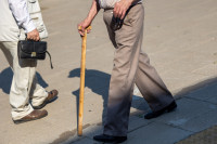 Seimas Pensijos Valstybinės Įstatymas