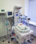 Pagalbinis Apvaisinimas Projektas Balsavimas