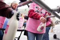 Pienas Supirkimas Kaina MMO ES