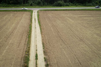 NŽT Valstybinė Žemė