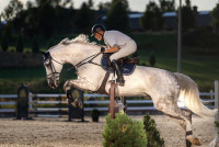 Šipaila Raitelis Žirgynas Išžaginimas