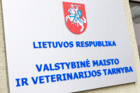 VMVT Neteisėta Veikla