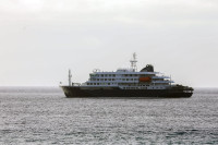 PSO Laivas Hantavirusas Lindmeieris
