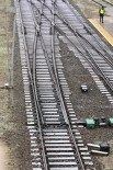 Rizzani LTG Infra Žalimas Tiltas Rail Baltica