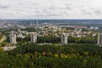 Miškas Vilnius Sužalotas Vyras