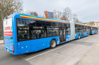 Seimas Įstatymas Transportas Autobusai Lengvata