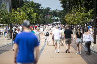 Užimtumo Tarnyba Palanga Sezoninis Darbas