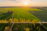 NŽT Valstybinė Žemė Pardavimas