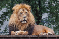 Klaipėda Zoologijos Sodas Aplinkosauga