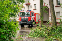 Audra Medžiai ESO Elektra