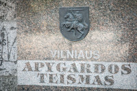 Paauglys Nepilnametis Žvėrynas Nužudymas Teismas