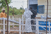 Ebola Kongas Aukos