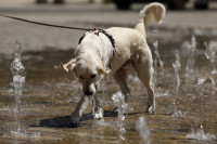 Klimatas karštis Prancūzija