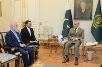 Karas Iranas JAV Pakistanas Momeni Sharifas Naqvi Muniras Trumpas