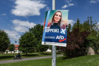 Vokietija Saksonijos-Anhalto žemė rinkimai 20 proc. persvara