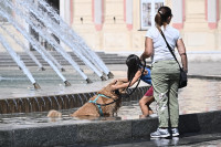Europa Klimatas Karštis