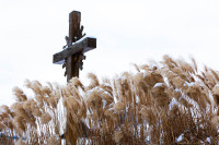 Kunigas Byla Vaikai