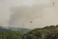 Belgija Miškas Gaisras ES Pagalba