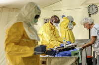 Ebola Kongas Padėtis