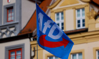 AfD Vokietija Apklausa Populiarumas