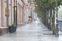 Grinda Liūtys Vėjas Vilnius
