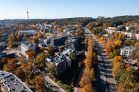 Vilnius Medžiai