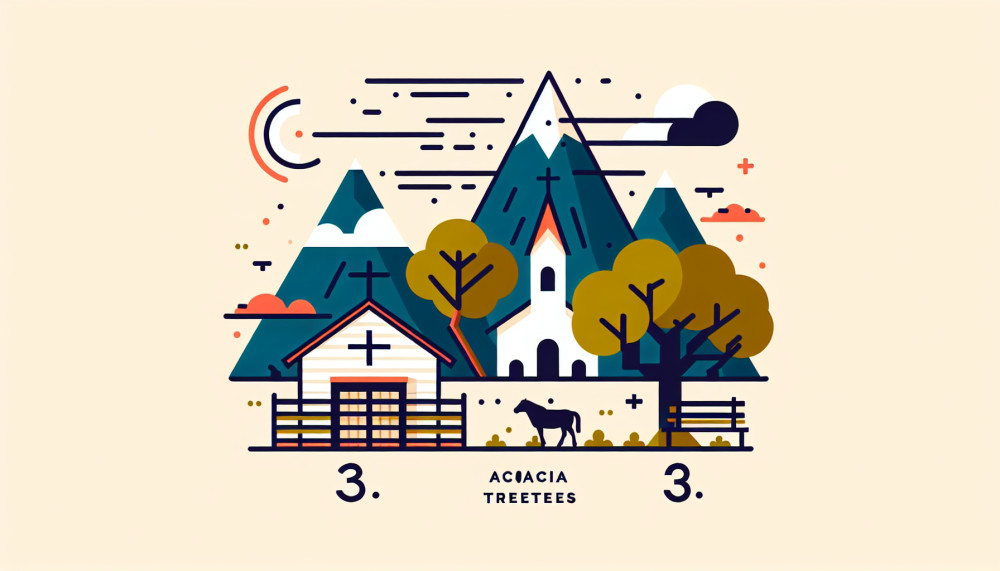 TV1 Polonia Programa Sausio11