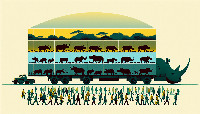 Afrika Raganosiai Perkėlimas Ruanda